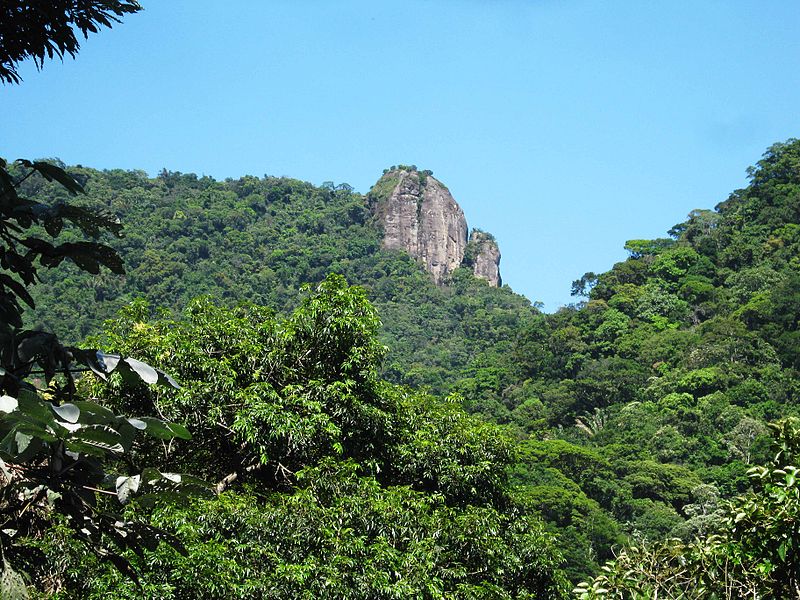 Belarmino Silva e John Hewko